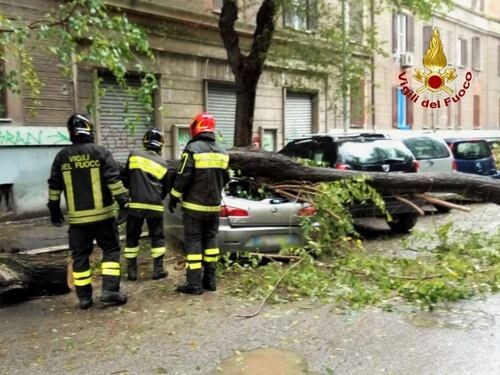 Alberi caduti e infiltrazioni. Il maltempo mette in ginocchio anche la Capitale