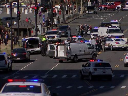 Tenta di investire poliziotti a Washington, bloccata