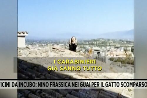 Fuori dal coro, il "giallo" del gatto di Frassica: il video mai visto dietro alla denuncia