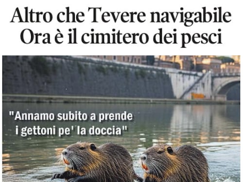 Il Tempo di Osho, la vignetta di oggi. strage di pesci nel Tevere (lunedì 21 luglio)