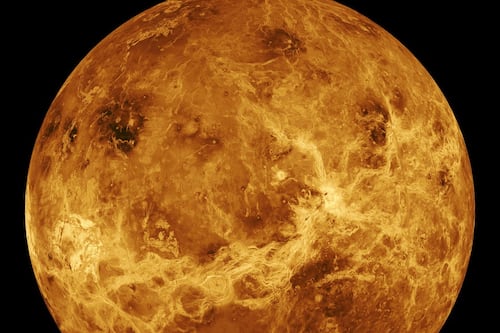 Scoperta rivoluzionaria: segni di vita su Venere. Il sogno di una nuova casa per l'umanità
