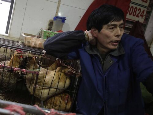 L’aviaria uccide sei persone in Cina