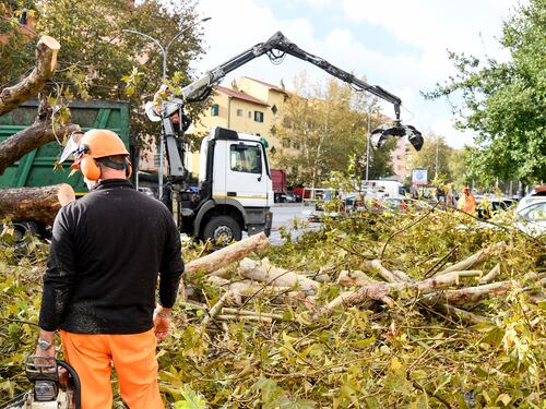 Crolla albero al Gianicolo, feriti due giovani