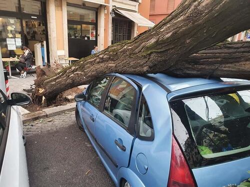 Alberi caduti, incidenti e traffico in tilt. Il maltempo mette in ginocchio Roma e provincia