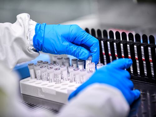 Date e numeri, parla il professor Carlo Gaudio: che cosa ci insegnano le epidemie