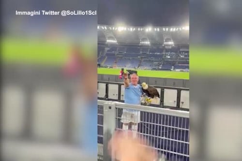 Lazio, silurato il falconiere Bernabè. Addio anche all'aquila Olympia