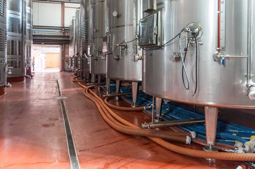 Brevetti, l’Italia è una fucina di idee: così la birra diventa più ecologica