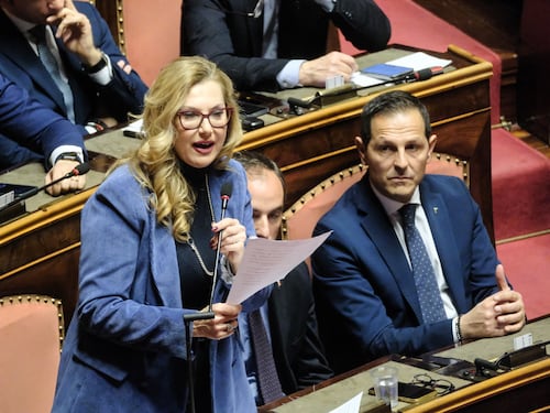 Codice della strada, approvata la riforma. Biancofiore: "Unanimità contro l'abbandono degli animali"