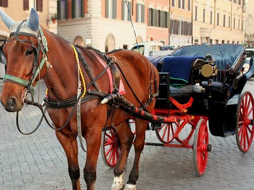 Botticelle vietate nelle città. Circoleranno solo nei parchi