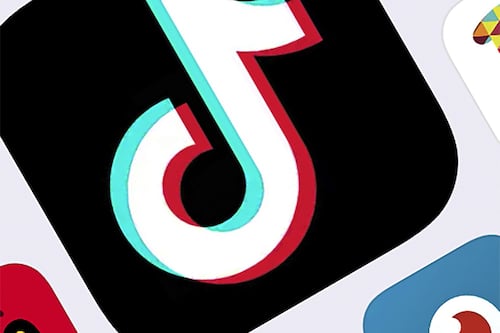 TikTok, “dati degli utenti al governo cinese”. Il Garante privacy ci vuole vedere chiaro