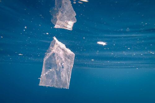 Ue, addio alla plastica monouso: cosa scomparirà. Ma l’insalata si salva