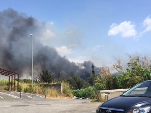 Incendi a Roma e provincia, 80 interventi dei vigili del fuoco in poche ore