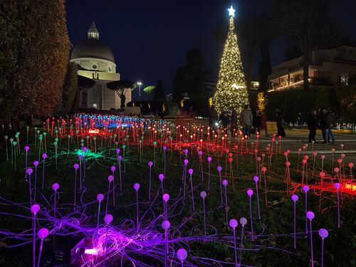 L'Eur sfida Piazza Venezia: lo spettacolo dell'albero sotto la basilica