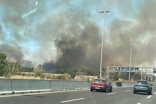Incendi a raffica, paura alla Pisana: aria irrespirabile e auto in fiamme