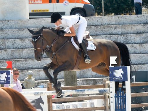 Le associazioni equestri scrivono alla Fise"Urge sostegno economico"