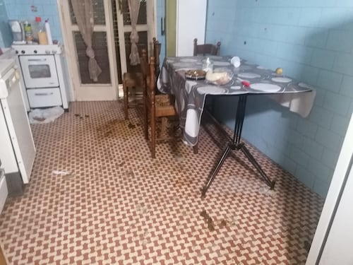 Casa occupata. Si cerca la spia che ha dato la soffiata alla rom sull'assenza di Ennio