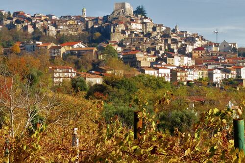 Viaggio nel Sannio Falanghina, eccellenza della Campania