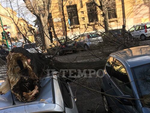 Paura a Prati, si spezza un ramo e precipita su un'auto