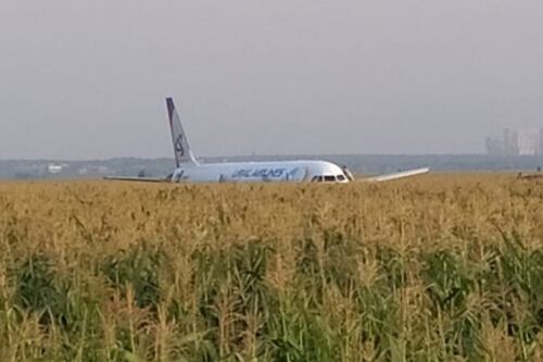 In Russia stormo di gabbiani contro un aereo