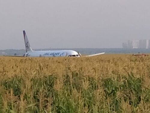 In Russia stormo di gabbiani contro un aereo