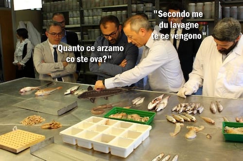 #iltempodioshø