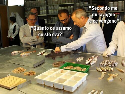 #iltempodioshø