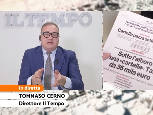 Cartella pazza sotto l'albero, Cerno al Tg4: "Cittadini eroi contro gli errori della burocrazia"