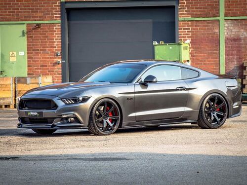 Mustang, cavalli di razza