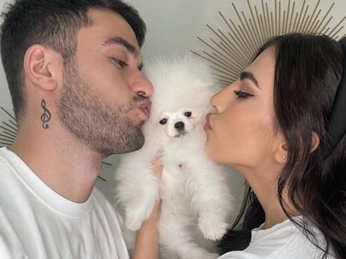 Giulia Salemi e Pierpaolo Pretelli pazzi per Prince Valiant. Il cagnolino strapazzato di coccole: "Ora scappa..."