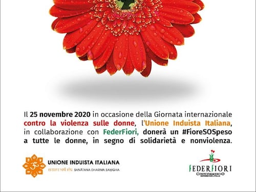 Un fiore contro la violenza sulle donne