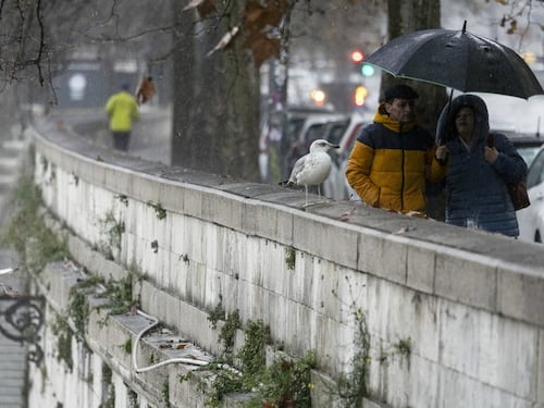 MeteoGiuliacci: "Weekend col maltempo". Dove arriva la pioggia