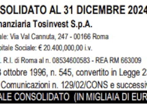 Finanziaria Tosinvest S.p.A., il bilancio 2024
