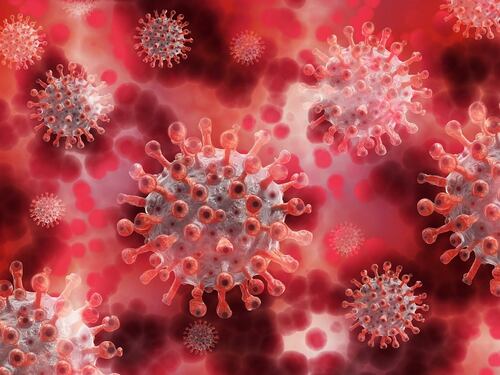 Covid, la variante Jn.1 e quel particolare che terrorizza gli scienziati