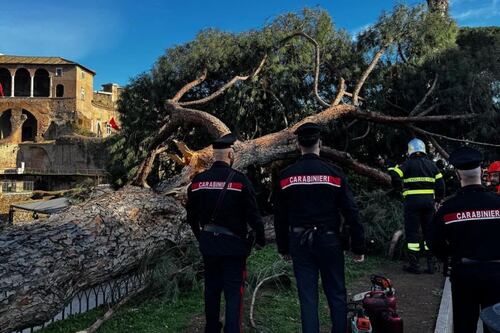 Albero crolla ai Fori Imperiali, tre feriti. È il terzo in un mese