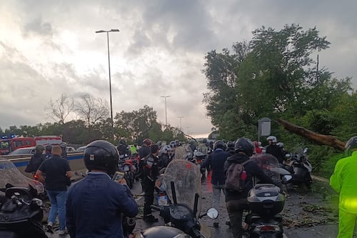Roma, pioggia di alberi sulle strade e in tangenziale: bomba d'acqua e traffico in tilt
