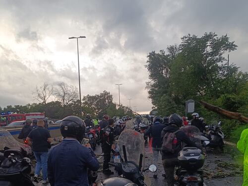 Roma, pioggia di alberi sulle strade e in tangenziale: bomba d'acqua e traffico in tilt