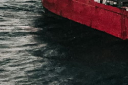 Mar Rosso, scatta l'allarme per la nave affondata. Greenpeace: "Crisi ecologica"