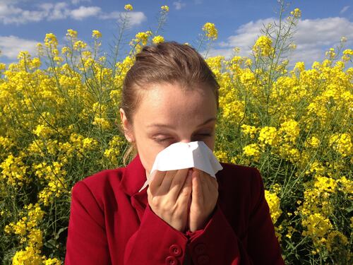 Emergenza allergie, entro il 2050 metà della popolazione soffrirà di allergie