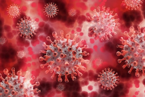 Covid, “guerra batteriologica”. La verità sulla fuga del virus da un laboratorio del ministero cinese