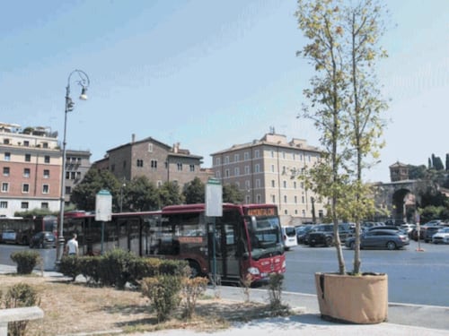 Roma, alberi come pensiline? Ma l’ombra non c’è: la rivolta sui social