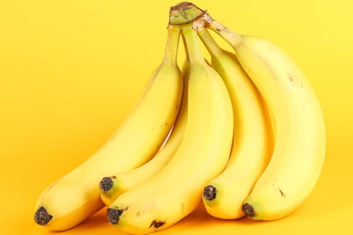 Coltivazioni genomiche, l'Ue vuole gli alimenti super-resistenti: cosa cambia nel piatto