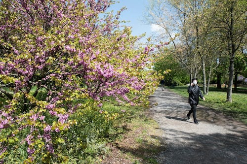 Primavera in arrivo: quando inizieranno ad allungarsi le giornate