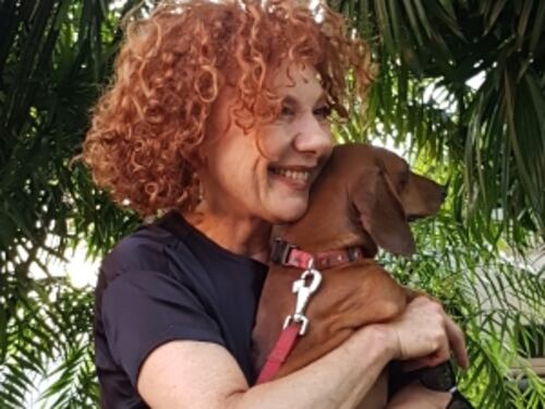 Roma lancia la campagna estiva contro l'abbandono degli animali