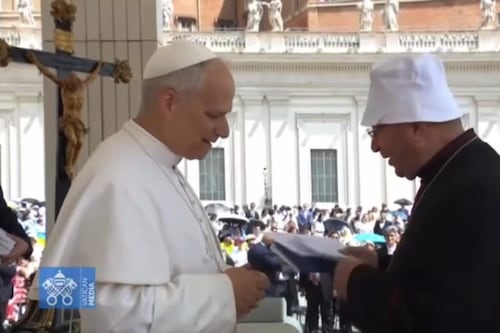 Papa Leone rimprovera il vescovo eccentrico, come si era presentato in udienza | VIDEO
