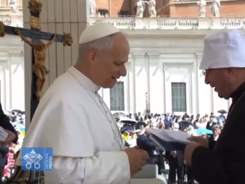 Papa Leone rimprovera il vescovo eccentrico, come si era presentato in udienza | VIDEO