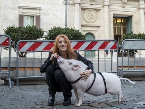 Camera, Michela Vittoria Brambilla non sceglie Forza Italia: iscritta al Misto