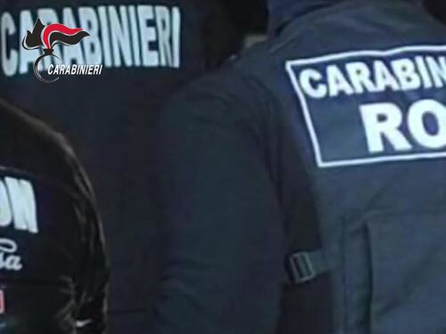 Ndrangheta, maxi-operazione contro la cosca Piromalli. Arrestato il superboss “Facciazza"
