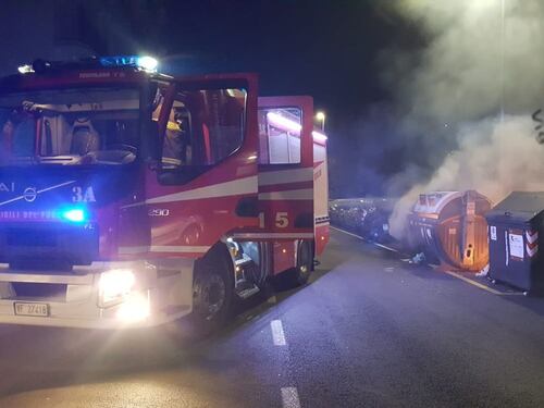 Dai maiali tra i rifiuti ai cassonetti bruciati, Roma saluta il 2019 tra la monnezza