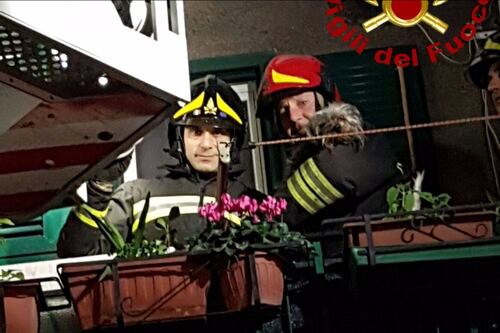Roma, i vigili del fuoco salvano tre persone e un cane dall'appartamento in fiamme