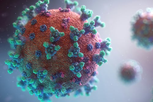 Morbillo, casi in crescita. Il vademecum dei pediatri contro le fake news